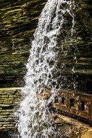 Watkins Glen